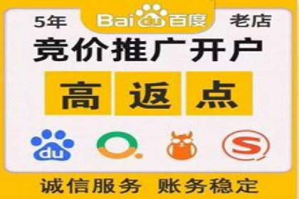 竞价推广公司的策略布局：某行业领导品牌的成功案例
